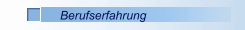 Berufserfahrung