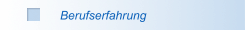 Berufserfahrung